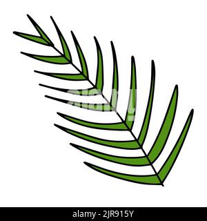 Frisches, natürliches grünes Blatt, gefärbt mit einem Strich. Vektorgrafik Stock Vektor