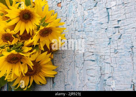 Blumenstrauß mit Sonnenblumen auf blauem Holzhintergrund. Alte blaue Holztür mit gelben Blumen. Speicherplatz kopieren Stockfoto