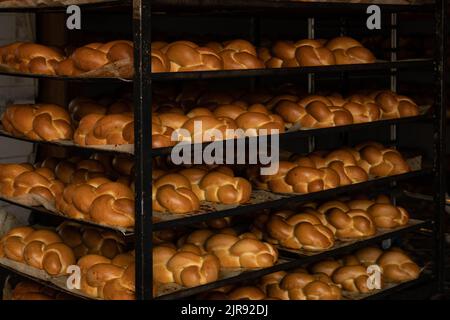 Jüdisches Challah-Brot für schabbat, auf einem Gepäckwagen in einer Bäckerei Stockfoto