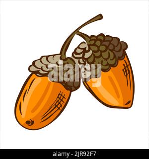 Reife Eicheln auf einem Zweig im rustikalen Stil. Erntekonzept. Vektorgrafik Stock Vektor