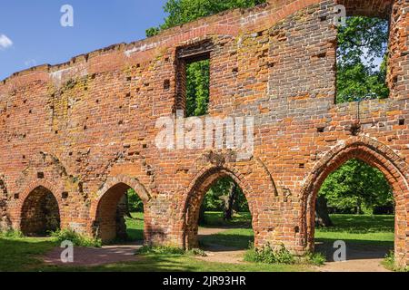 Mauer der Abtei Eldena, einem zerstörten Zisterzienserkloster bei Greifswald Stockfoto