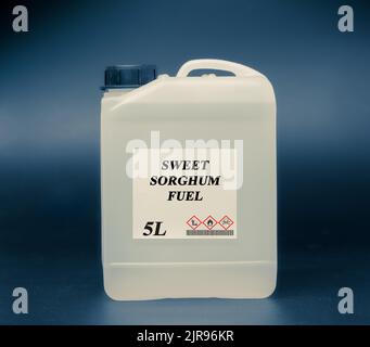 Biokraftstoff im chemischen Labor in Glasflasche Sweet Sorghum Fuel Stockfoto