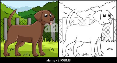 Schokoladenlabor Hund Färbung Page Illustration Stock Vektor