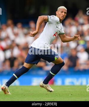 14 Aug 2022 - Chelsea gegen Tottenham Hotspur - Premier League - Stamford Bridge Tottenham Hotspur's Richarlison während des Spiels der Premier League in Stamford Bridge, London. Picture : Mark Pain / Alamy Live News Stockfoto