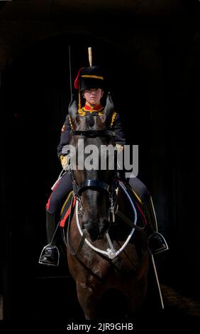 Soldatin der Königstruppe Royal Horse Artillery im Dienst in Whitehall, London Stockfoto