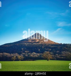 Die Felder und Waldhänge von Roseberry Topping in der Nähe der North Yorks Moors, die in hellem, klarem Wintersonnenlicht vor einem sattblauen Himmel gesehen werden. Stockfoto