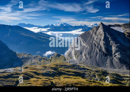 Blick auf Dom, Weisshorn und die anderen 4000 m hohen Gipfel der Walliser alpen vom Gemmipass Stockfoto