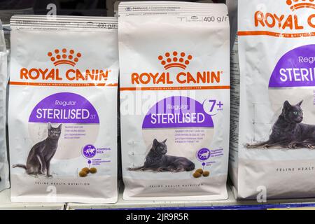 Tjumen, Russland-17. August 2022: Royal Canin ist gesund und Premium-Kibbles für Haustiere. Selektiver Fokus Stockfoto