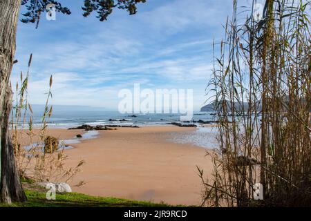 Strand von Trengandin in der Stadt Noja (Kantabrien - Spanien) Stockfoto