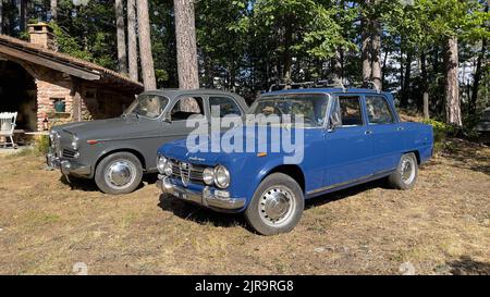 Eine Ausstellung historischer Oldtimer mit Alfa Romeo und Fiat 600 auf dem Land Stockfoto