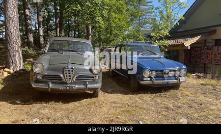 Eine Ausstellung historischer Oldtimer mit Alfa Romeo und Fiat 600 auf dem Land Stockfoto