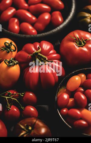 Frische, rohe und bunte Tomaten in verschiedenen Größen und Arten auf dunklem Hintergrund Stockfoto