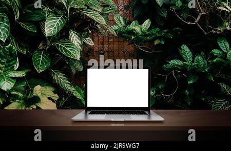 Moderner Laptop auf grünem Hintergrund isoliert. 3D Abbildung. Stockfoto