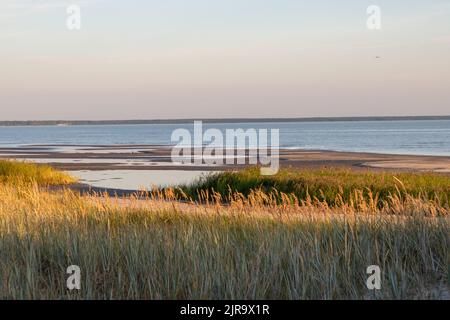 Parnu ist ein Ferienort in Estland Stockfoto