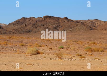 Es handelt sich um ein erosives Felsfragment, das sich gegen die steinerne Landschaft der farbenfrohen Arava-Wüste in Israrel stellt. Stockfoto