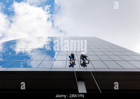 Zwei Fensterputzer arbeiten an der 103 Colmore Row, dem höchsten Wolkenkratzer im Stadtzentrum von Birningham. 103 die Colmore Row wurde 2022 eröffnet und ist hauptsächlich für Unternehmen bestimmt. Stockfoto