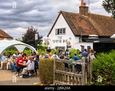 The Spotted Dog Pub, Flamstead, Hertfordshire, Großbritannien Stockfoto