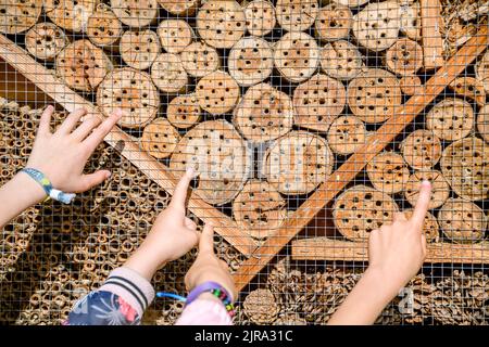 Hände zeigen Insektenhotel Stockfoto
