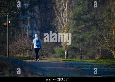 Marcy-l'Etoile, Domaine de Lacroix-Laval (Zentralfrankreich): Spaziergang im Park im Winter. Frau mit Rucksack, in einen Mantel gehüllt, spazieren Stockfoto