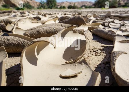 Symbolisches Bild, Hoffnung, Umwelt, Klimawandel, totes Stück Holz in trockenen Flussbett-Mustern. Swakop River, Namibia, Afrika Stockfoto