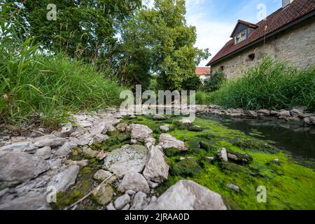 Dürre sorgt für trockene Flüsse im Weimarer Land Stockfoto