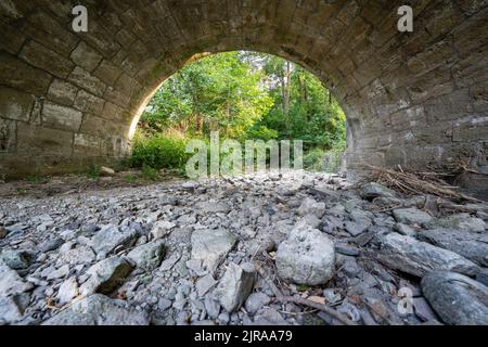 Dürre sorgt für trockene Flüsse im Weimarer Land Stockfoto