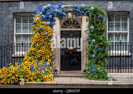 London, Großbritannien. 23 August 2022 . Die Tür der Downing Street 10 ist mit Sonnenblumen geschmückt, dem nationalen Symbol der Ukraine zum Unabhängigkeitstag der Ukraine am 24. August. Kredit. amer Ghazzal/Alamy Live Nachrichten Stockfoto