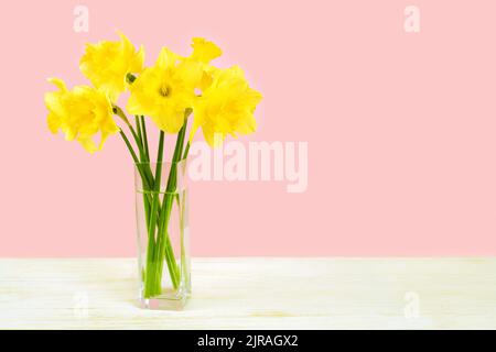Bouquet von gelben Narzissen, Narzissen in transparenter Vase auf rosa Hintergrund mit Kopierraum. Modell, Vorlage für Urlaub, Geburtstag, Muttertag Stockfoto