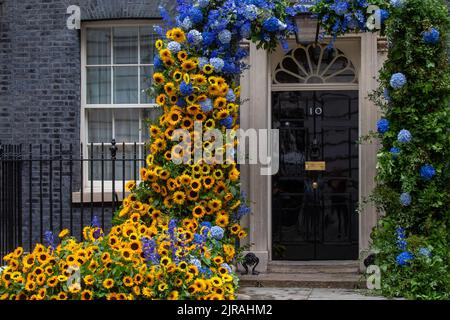 London, England, Großbritannien. 23. August 2022. 10 Downing Street ist als Zeichen der Solidarität vor dem Unabhängigkeitstag der Ukraine mit Sonnenblumen geschmückt. (Bild: © Tayfun Salci/ZUMA Press Wire) Bild: ZUMA Press, Inc./Alamy Live News Stockfoto