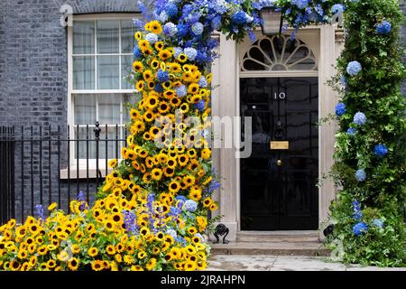 London, England, Großbritannien. 23. August 2022. 10 Downing Street ist als Zeichen der Solidarität vor dem Unabhängigkeitstag der Ukraine mit Sonnenblumen geschmückt. (Bild: © Tayfun Salci/ZUMA Press Wire) Bild: ZUMA Press, Inc./Alamy Live News Stockfoto