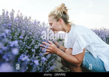 Glückliche Frau riecht Lavendelpflanzen auf dem Feld Stockfoto