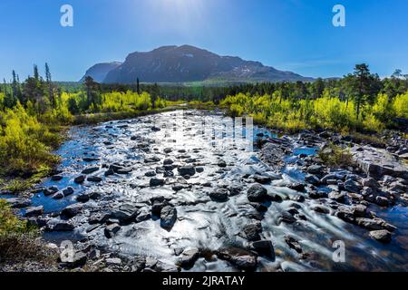 Schweden, Norrbotten County, Fluss fließt im Stora Sjofallet National Park Stockfoto