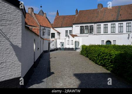 St. Elisabeth Beguinage, Kortrijk, Flandern, Belgien Stockfoto
