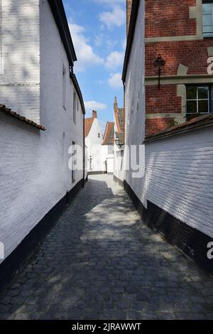 St. Elisabeth Beguinage, Kortrijk, Flandern, Belgien Stockfoto