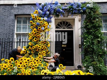 London, Großbritannien. 23. August 2022. Den letzten Schliff gibt es auf der Blumenvorzeige in der Downing Street Nr. 10 zum Unabhängigkeitstag der Ukraine, der morgen, dem 24.. August, stattfindet. Kredit: Mark Thomas/Alamy Live Nachrichten Stockfoto