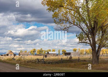 JACKSON, WYOMING, USA - OKTOBER 1. Ansicht der Mormon Row in der Nähe von Jackson Wyoming am 1. Oktober 2013 Stockfoto