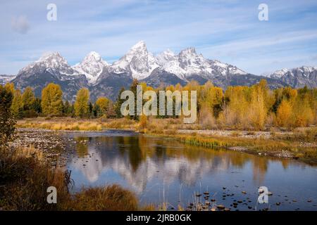 Herbstliche Farben entlang des Snake River im Grand Teton National Park Stockfoto