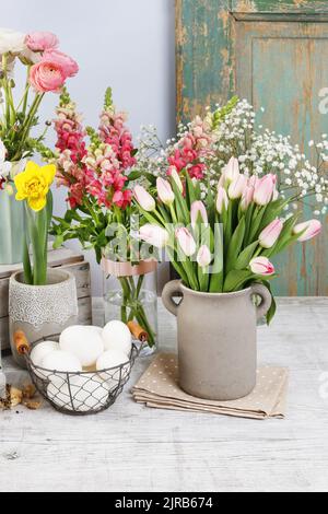 Viele Arten von Frühlingsblumen. Wunderschöne Inneneinrichtung. Stockfoto