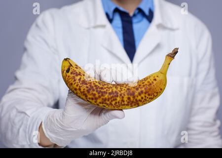 Nahaufnahme einer modernen Ärztin in weißer medizinischer Robe mit Banane auf grauem Hintergrund isoliert. Stockfoto