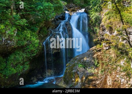 Slowenien, langandauernder Wasserfall am Radovna-Fluss, der durch die Vintgar-Schlucht fließt Stockfoto