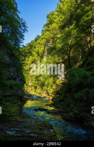 Slowenien, der Radovna-Fluss, der durch die Vintgar-Schlucht im Triglav-Nationalpark fließt Stockfoto