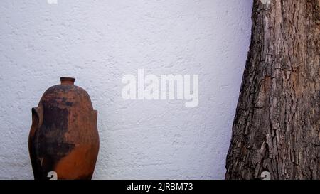 Interieur des gilardi-Hauses des berühmten Architekten luis barragan, zentraler Innenhof, mit Steinkugeln und Jacaranda-Baum Stockfoto