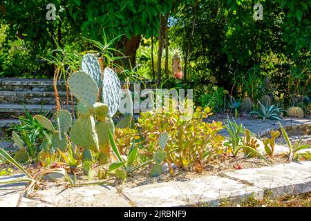 Diride Garden, Great Dixter, Northiam, East Sussex, Großbritannien Stockfoto