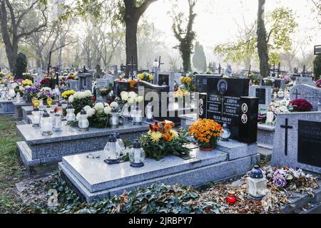 Rakowicki Friedhof, einer der bekanntesten Friedhöfe Polens, im Zentrum von Krakau, Polen. Stockfoto