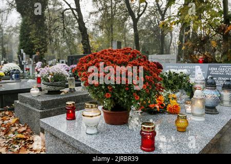 Rakowicki Friedhof, einer der bekanntesten Friedhöfe Polens, im Zentrum von Krakau, Polen. Stockfoto