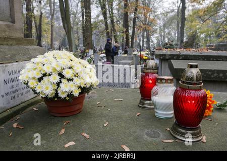 Rakowicki Friedhof, einer der bekanntesten Friedhöfe Polens, im Zentrum von Krakau, Polen. Stockfoto