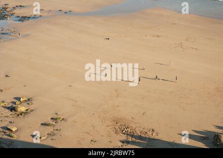 Spielen von Beach Cricket auf Marloes Sands im Sommer, Pembrokeshire, Wales, Großbritannien Stockfoto