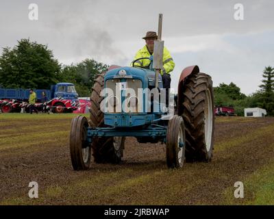 Fordson Super Major Oldtimer-Traktor bei der Launceston Steam & Vintage Rally, Cornwall, Großbritannien Stockfoto