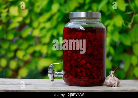 Selbstgemachter Sauerteig-Starter aus Mangold im großen Glas, natürliches Heilmittel für Immunität. Natürliches Antioxidans. Augenhöhe kurz. Stockfoto