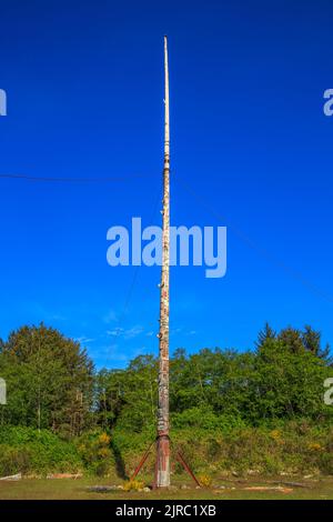 Bei 173 Fuß in der Höhe, das Totem Pole errichtet neben dem Großen Haus in Alert Bay erhebt den Anspruch der höchste der Welt. Stockfoto